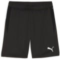 Puma teamGOAL Training Herren Shorts
