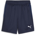 Puma teamGOAL Training Junior Jungen Shorts