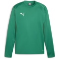 Puma teamGOAL Training Herren Sweatshirt