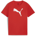 Puma teamRISE Logo Cotton Junior Jungen T-Shirt