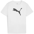 Puma teamRISE Logo Cotton Junior Jungen T-Shirt