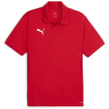 Puma teamGOAL Herren Poloshirt