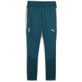Puma Neymar JR Creativity Training Junior Kinder Fußballhose