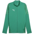 Puma teamCUP Training Herren Fußballjacke