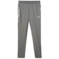 Puma teamCUP Training Herren Trainingshose