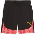 Puma individualFINAL FF. Herren Shorts