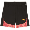 Puma individualFINAL FF. Junior Kinder Shorts