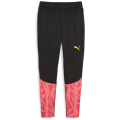 Puma individualFINAL FF. Training Herren Trainingshose