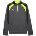 Puma IndividualLIGA 1/4 Zip