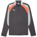 Puma IndividualLIGA 1/4 Zip