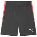 Puma IndividualLIGA Training 2 (open pockets)