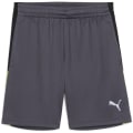 Puma IndividualLIGA Training 2 (open pockets)