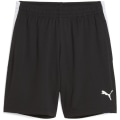 Puma IndividualLIGA Training 2 (open pockets)