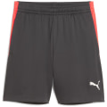 Puma IndividualLIGA Training 2 (open pockets)