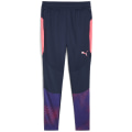 Puma individualFINAL Training