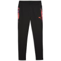 Puma individualCUP Training Herren Sporthose