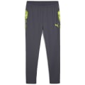 Puma individualCUP Training Herren Sporthose