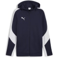 Puma teamEVOSTRIPE Hooded Herren Kapuzensweater
