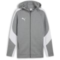 Puma teamEVOSTRIPE Hooded Herren Kapuzensweater