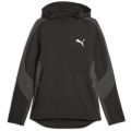 Puma Evostripe DK Herren Kapuzensweater