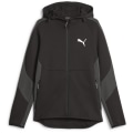 Puma Evostripe Full-zip DK Herren Kapuzensweater