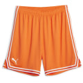 Puma Hoops Team Game Herren Shorts
