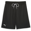 Puma Hoops Team Practice Herren Shorts