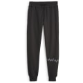Puma Hoops Team Herren Jogginghose