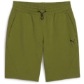 Puma Rad/Cal 9'' DK Herren Shorts