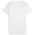 Puma Evostripe Herren T-Shirt