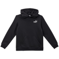 Puma Ess+ Embroidery FL Kinder Sweatshirt