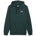Puma ESS 2 Color Small No. 1 Logo FL Herren Kapuzensweater