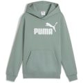 Puma ESS No. 1 Logo FL Jungen Kapuzensweater