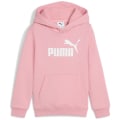 Puma ESS No. 1 Logo FL PS Jungen Kapuzensweater