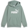 Puma ESS No. 1 Logo FL PS Jungen Kapuzensweater