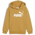 Puma ESS No. 1 Logo FL PS Jungen Kapuzensweater