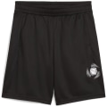 Puma Active Sports Graphic Poly Jungen Shorts