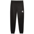 Puma Active Sports Graphic Poly Jungen Hose
