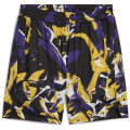 Puma Rival Rage AOP Herren Shorts