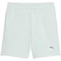 Puma ESS 2 Color No. 1 Logo TR Jungen Shorts