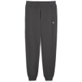 Puma ESS Elevated FL CL Herren Hose