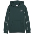 Puma ESS Tape Layout FL Jungen Kapuzensweater