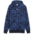 Puma teamJAWS Post Game Herren Kapuzensweater