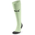 Puma Team Liga Socks Core Herren Strümpfe