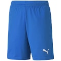 Puma TeamGOAL 23 Knit Jr Kinder Shorts