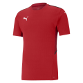 Puma TeamCUP Herren Trikot