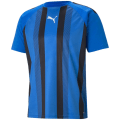 Puma TeamLIGA Striped Herren T-Shirt