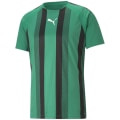 Puma TeamLIGA Striped Herren T-Shirt