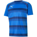 Puma TeamVISION Herren T-Shirt