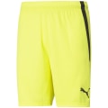 Puma TeamLIGA Herren Shorts